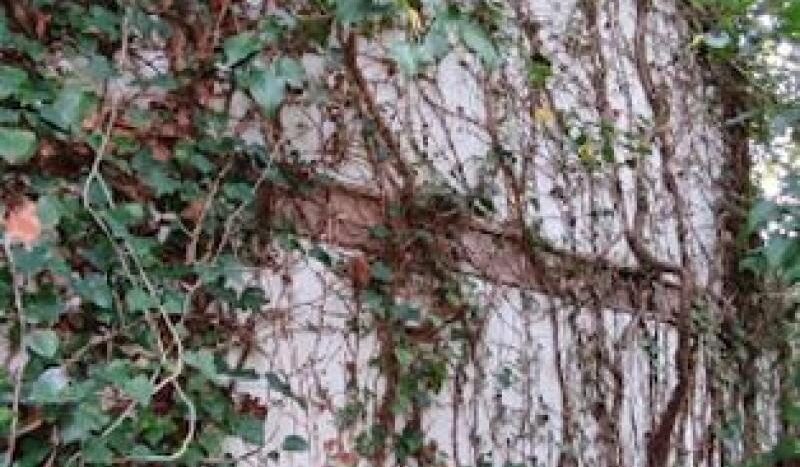 OQPNL 20220307094547