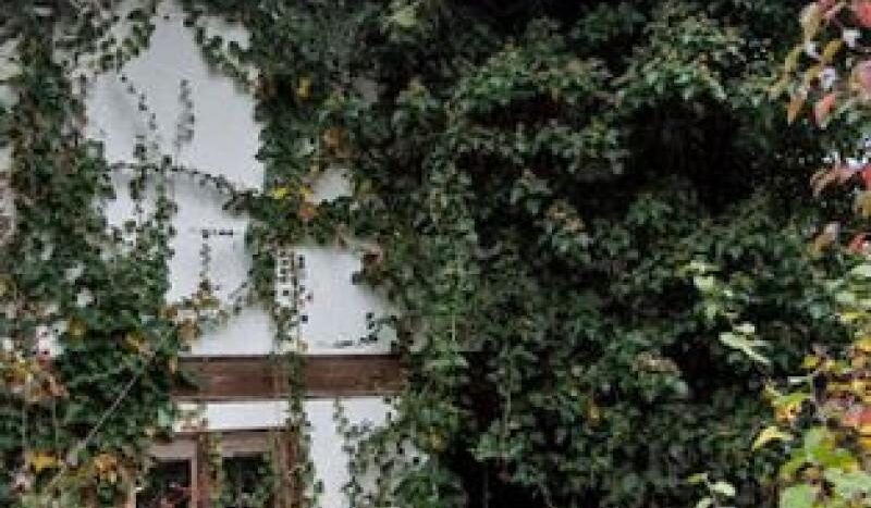 PQDOZ 20220307094546