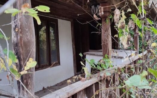 UZKJH 20220307094547