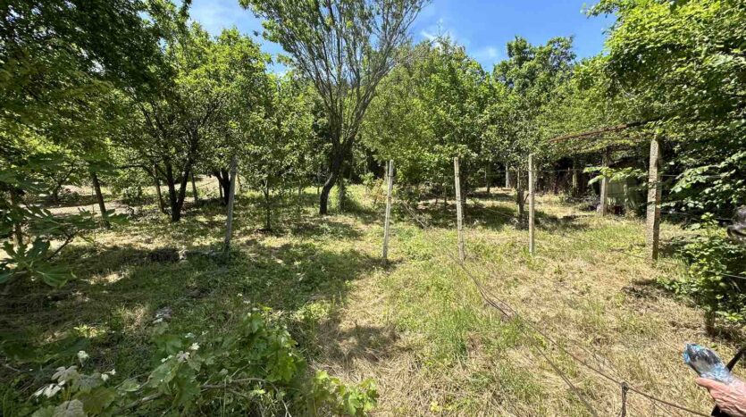 viber изображение 2023 06 12 10 43 00 198