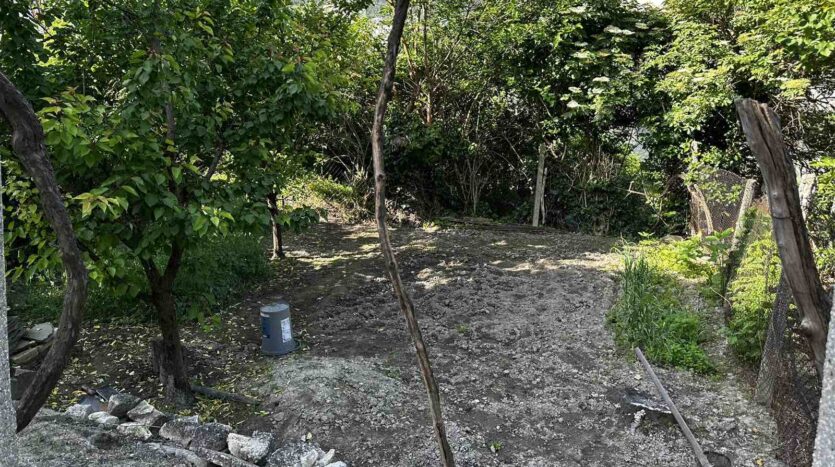 viber изображение 2024 05 21 10 04 21 979 1