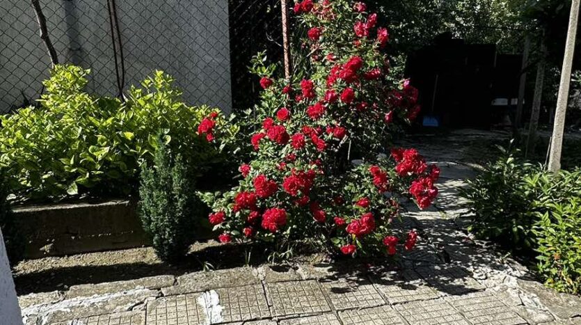 viber изображение 2024 05 21 10 04 22 900 1