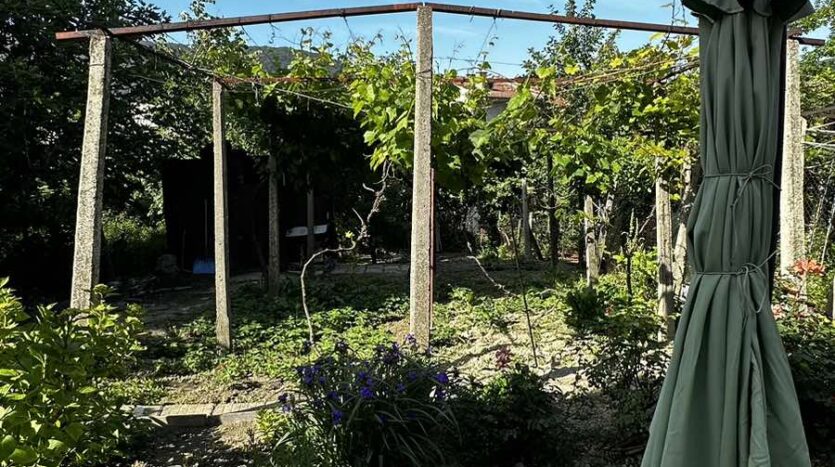 viber изображение 2024 05 21 10 04 23 155 1