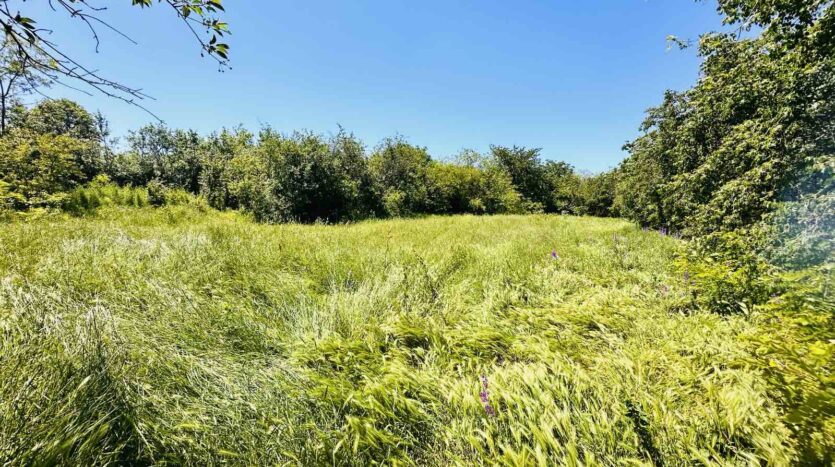 viber изображение 2024 05 22 08 55 47 809