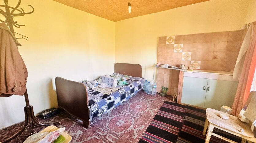 viber изображение 2024 04 29 09 05 23 006