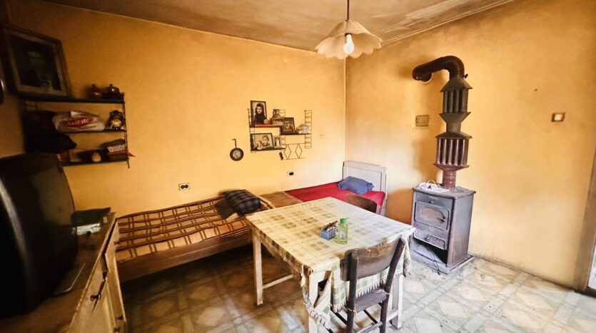 viber изображение 2024 07 12 14 04 34 919