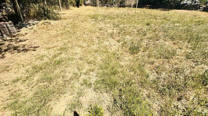 viber изображение 2024 07 15 13 15 11 564