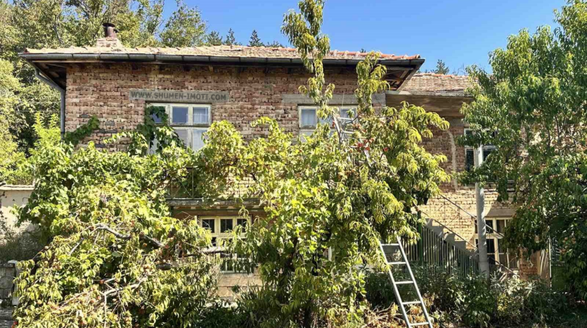 61bf0552dd3aef1eb81824897c609040 210824114927