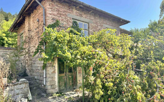 Къща в с.Янково