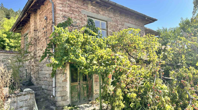 ae4961fc08fb32f50988b7fa0c96e5a6 210824114932