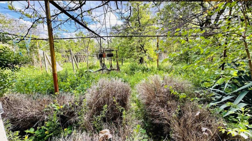 viber изображение 2024 04 19 18 48 19 006