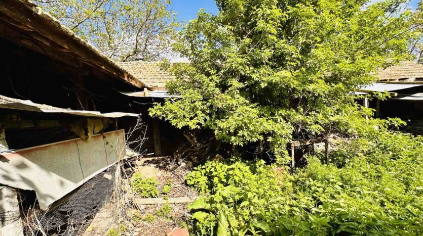 viber изображение 2024 04 19 18 48 22 189