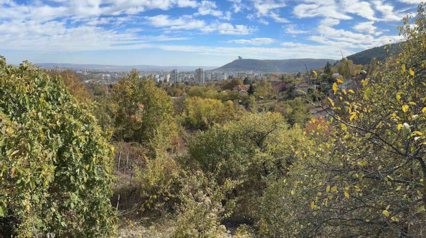 0bd908ba60ca769e34500894f5ecdb6f 051124082454