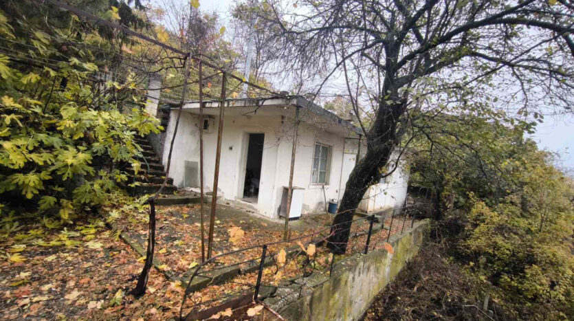 8efdfe67ba086f349034374c4bc9aff1 131124050244