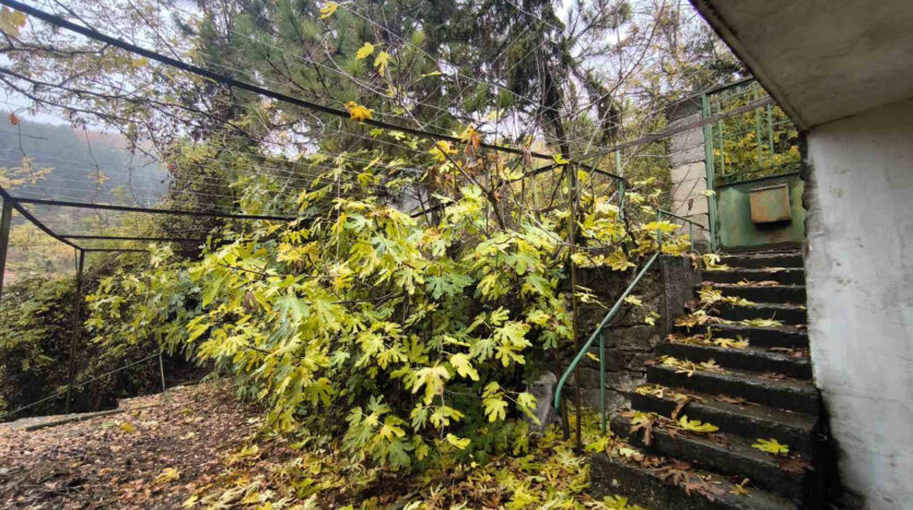 ddfff604998639a21dc4c1b01929b1e7 131124050245