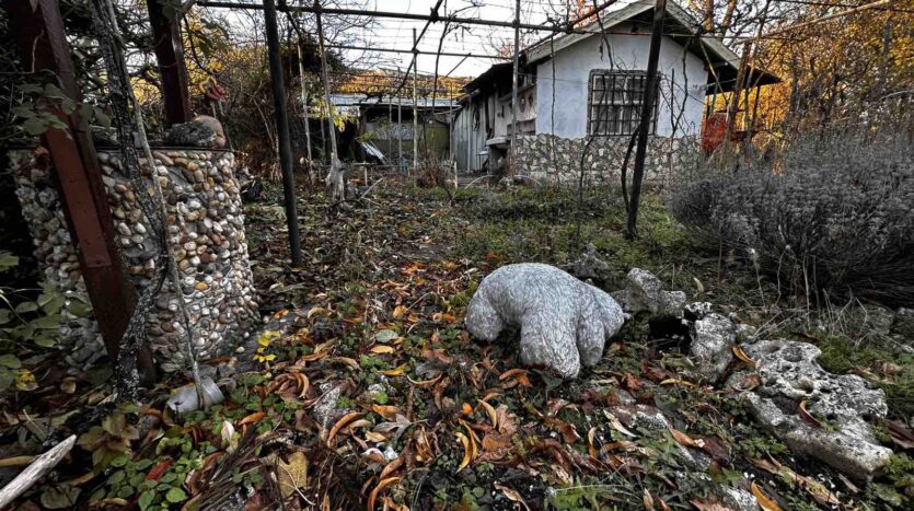 viber изображение 2024 11 17 16 38 46 899