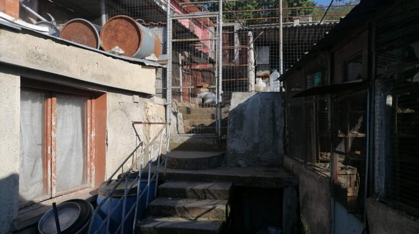 2078bbea6d415c1d40c872f575e1ad63 021224105231