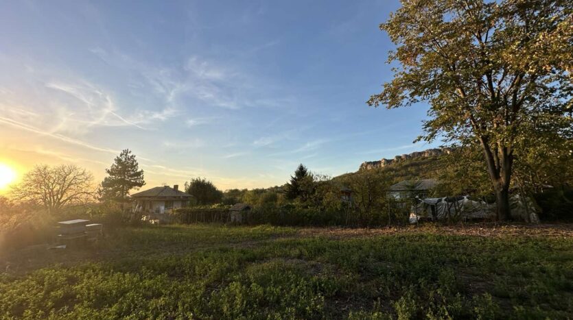 viber изображение 2025 02 07 17 42 16 507