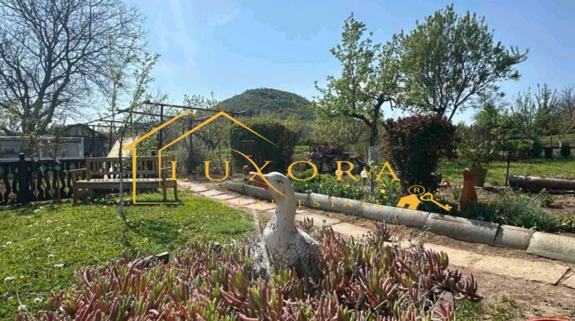 viber изображение 2025 05 08 13 02 21 161