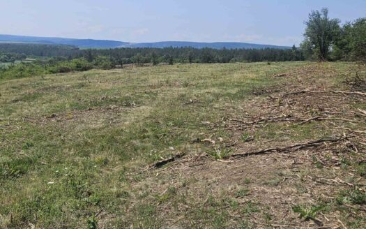 Земя подходяща за соларен парк