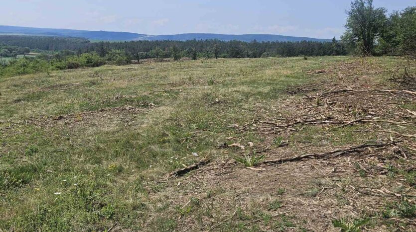 57a6b259cf51893368468080860eb6de 090725050728