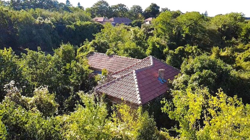 07a4d068809b680fce3e01d928264203 240925064652