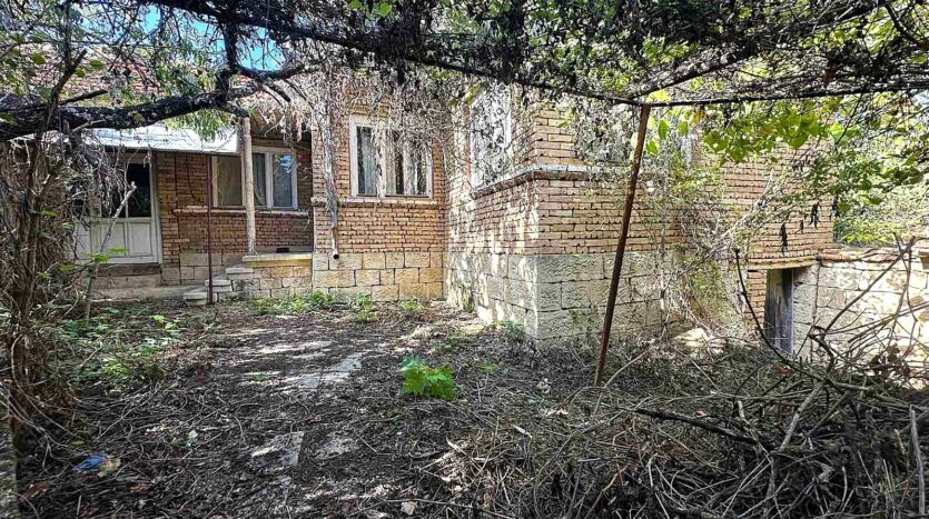 30b74054fc0d4a7bb7bd5f9adf7d1da3 240925064654