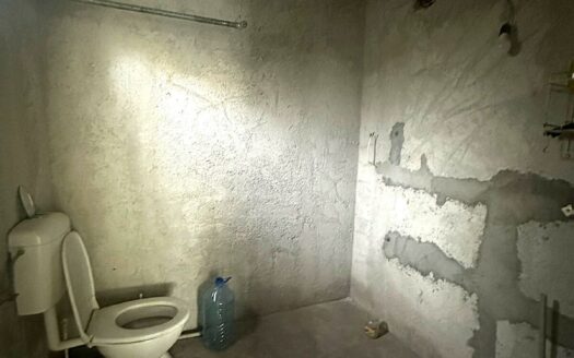 Къща в с. Струино