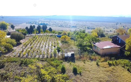 Къща в с. Струино