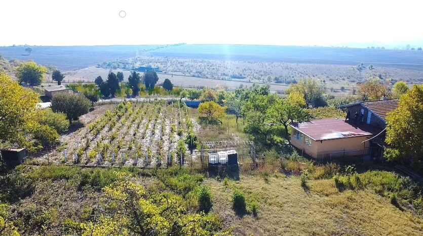 bab8894976fc3c4b4f21cac27862359e 131025024806