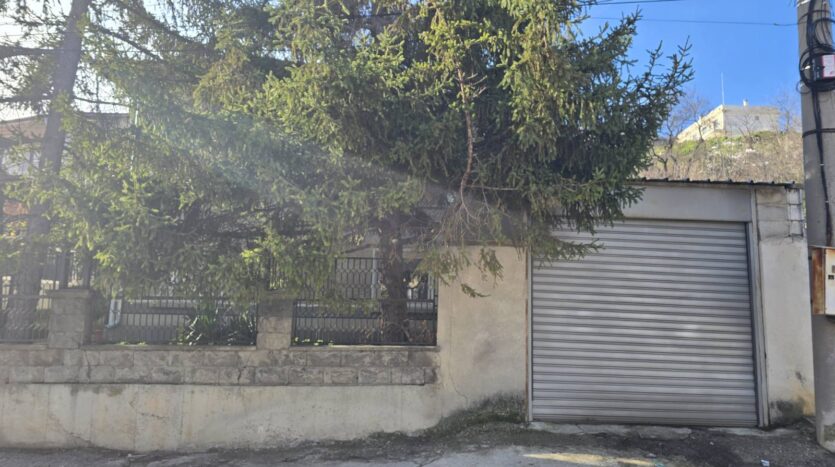 viber изображение 2026 02 15 09 15 48 683