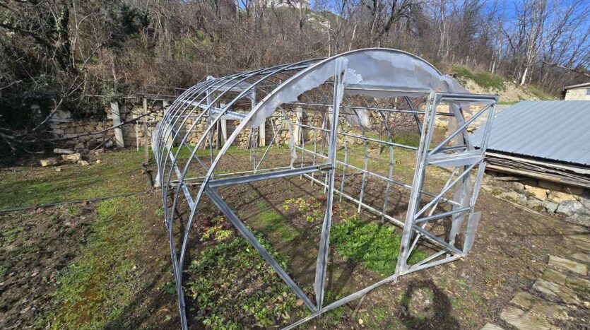 viber изображение 2026 02 15 09 15 49 367