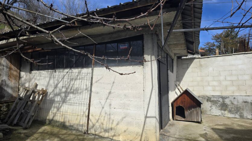 viber изображение 2026 02 15 09 15 50 914