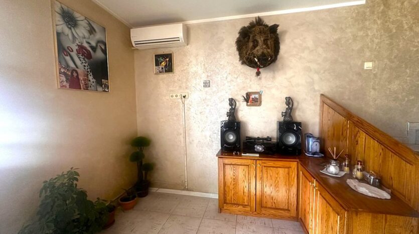 viber изображение 2026 03 11 08 44 29 283