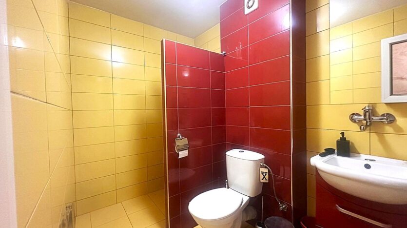 viber изображение 2026 03 11 08 44 29 947